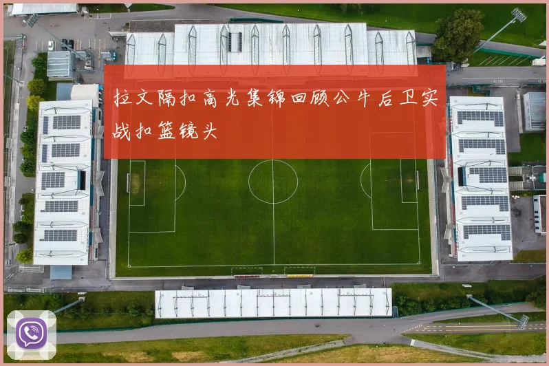 拉文隔扣高光集锦回顾公牛后卫实战扣篮镜头