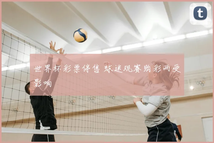 世界杯彩票停售 球迷观赛购彩两受影响
