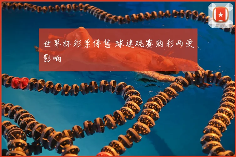 世界杯彩票停售 球迷观赛购彩两受影响