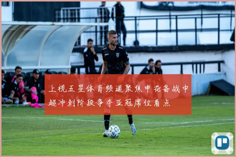 上视五星体育频道聚焦申花备战中超冲刺阶段争夺亚冠席位看点
