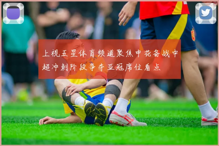 上视五星体育频道聚焦申花备战中超冲刺阶段争夺亚冠席位看点