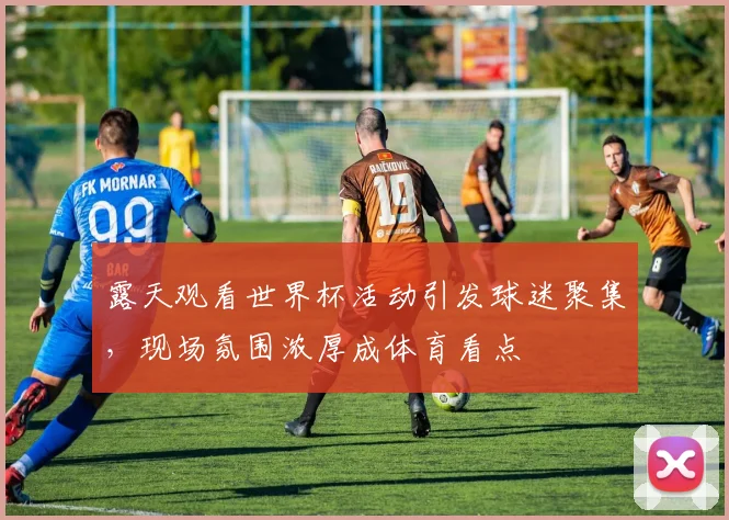 露天观看世界杯活动引发球迷聚集，现场氛围浓厚成体育看点