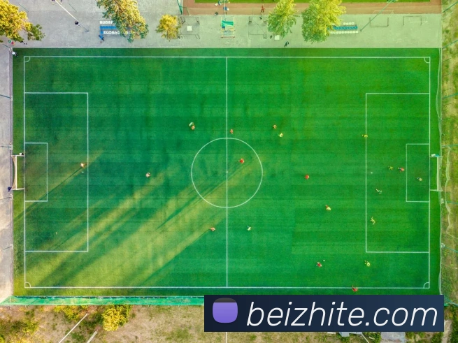 华会体育官网发展历程